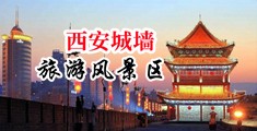 美女吃大鸡吧网站中国陕西-西安城墙旅游风景区